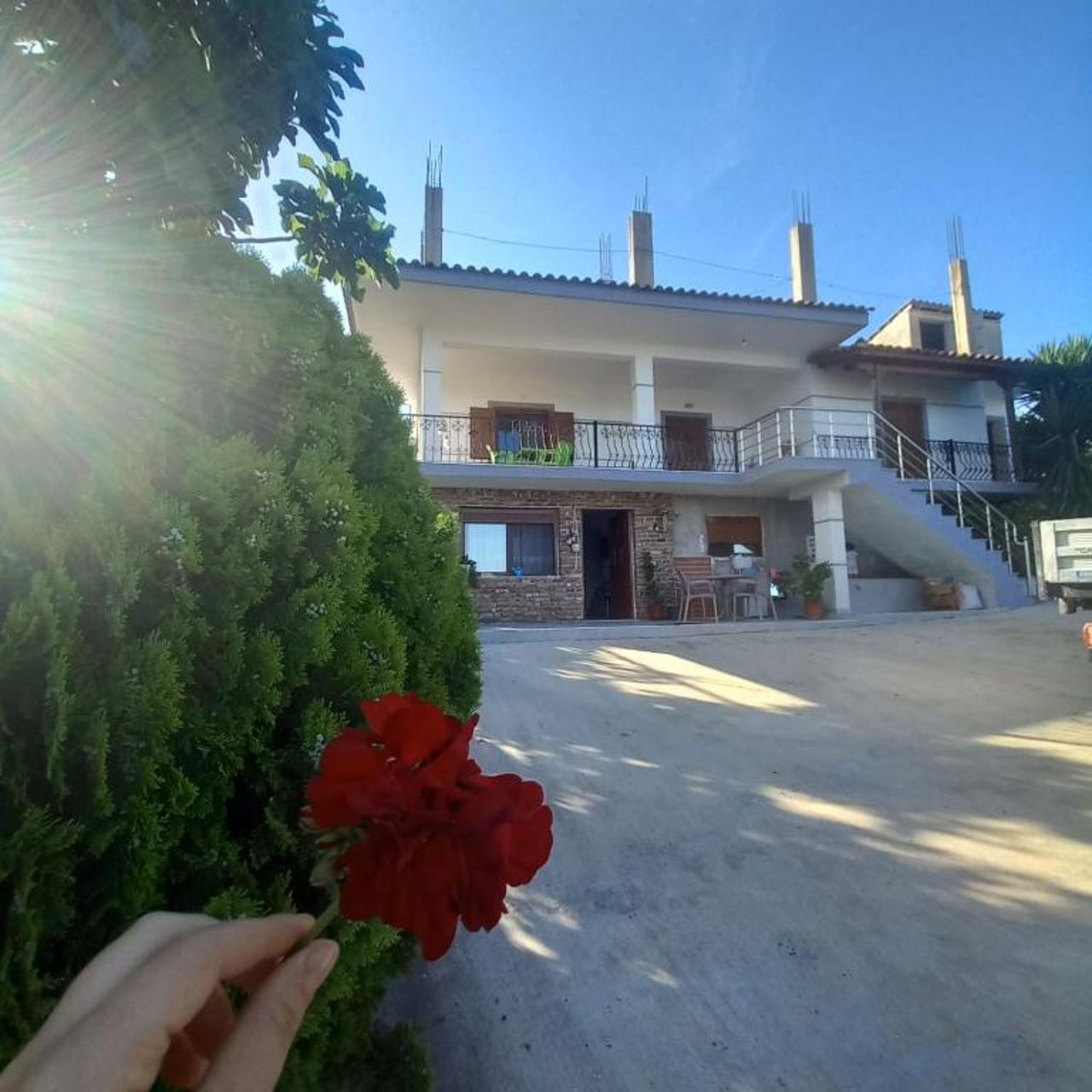 Vila Pasha