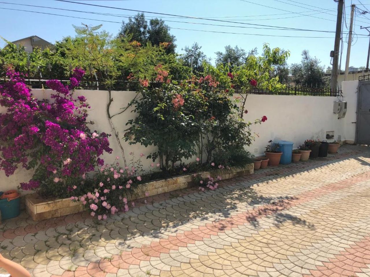 Guest House "Pisha"