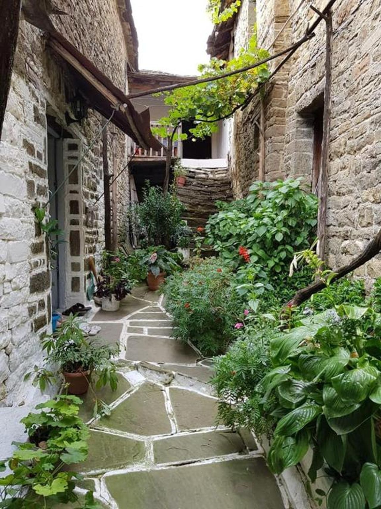 Funky Guest House & Adventures