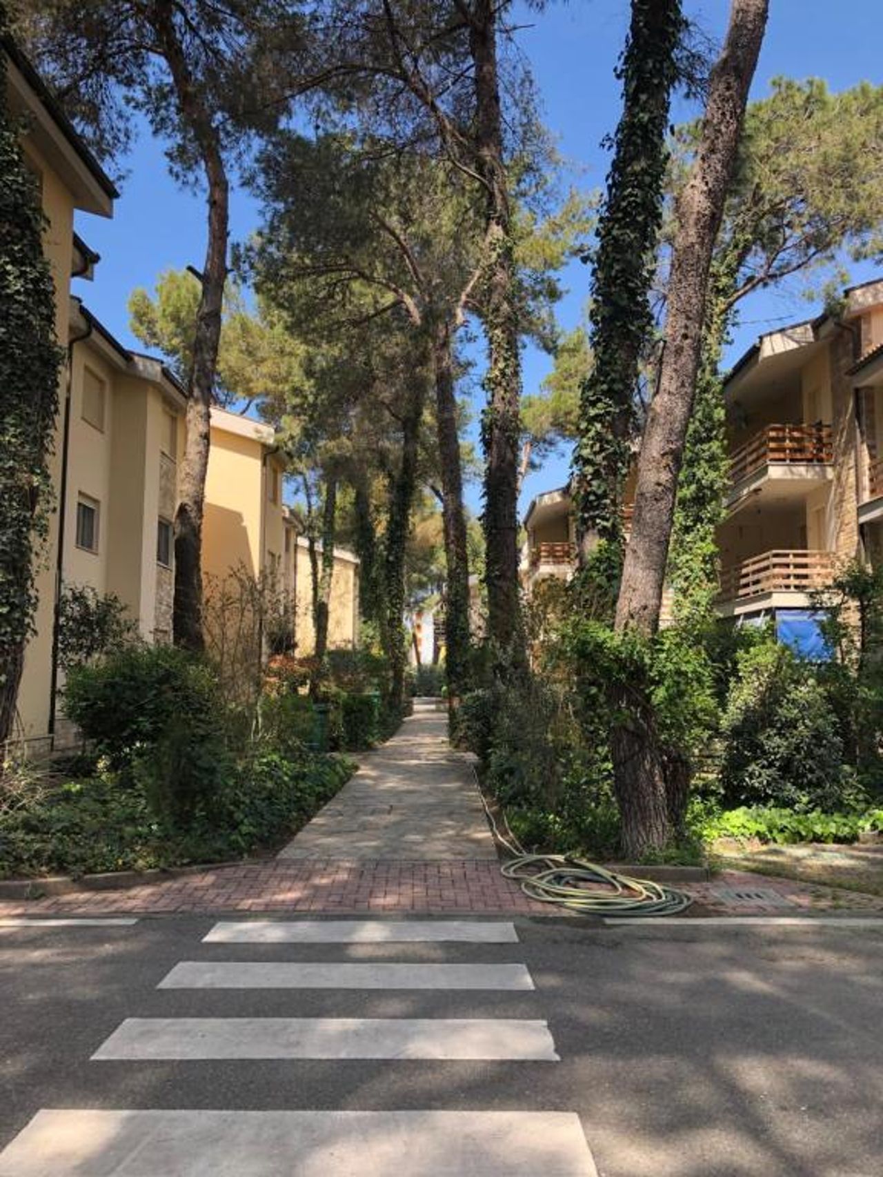 Pine-Tree Apt w/ Private Garden 50 m from the Sea