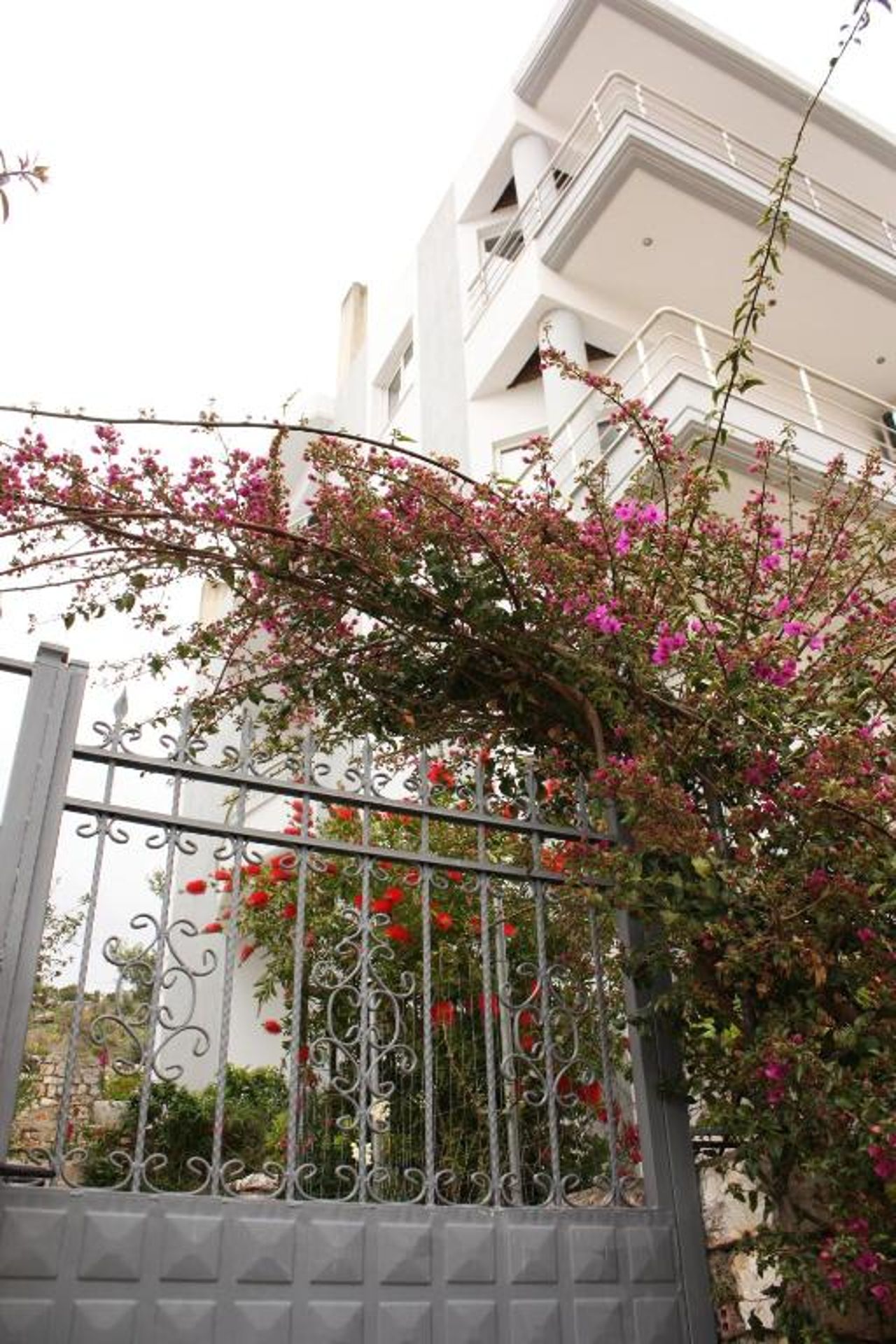 Alexandra’s Apartments
