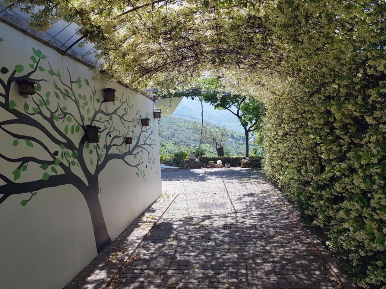 IoniaHouse Surrel Villa