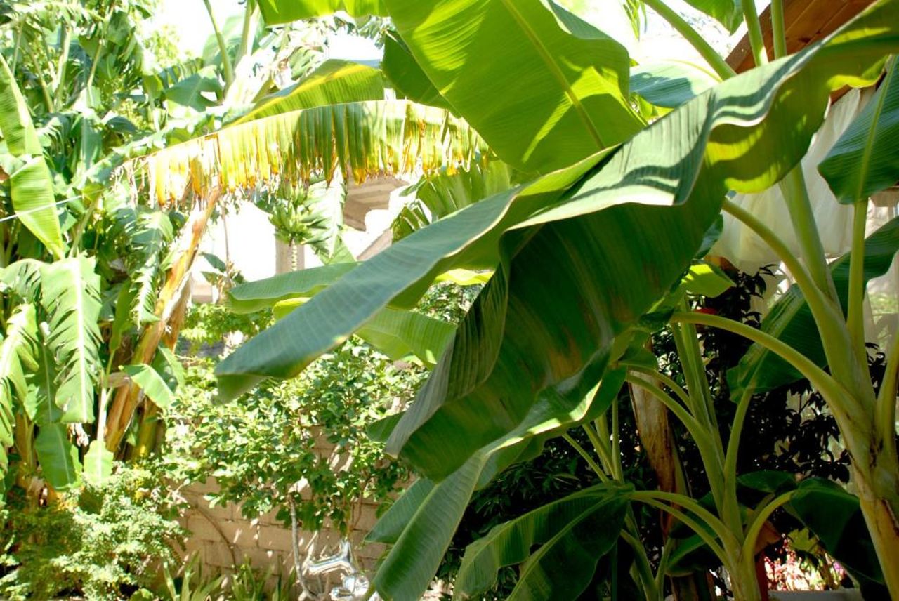 Villa Mucho
