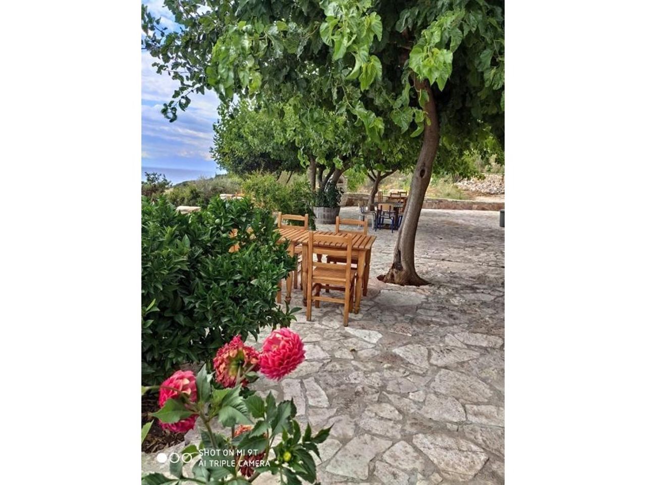 John's Guesthouse