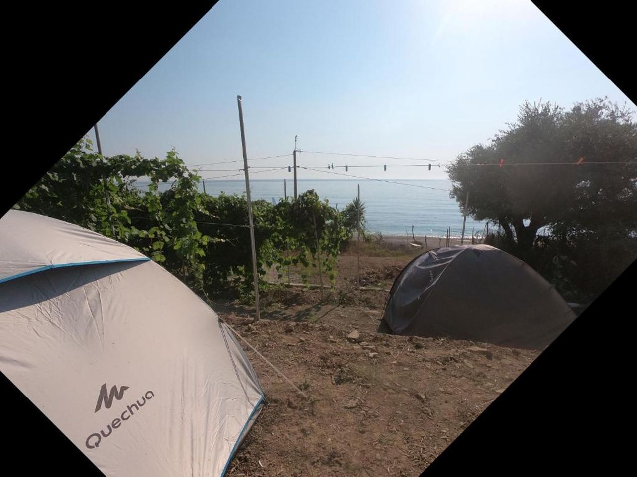 Camping Jungle in Borsh