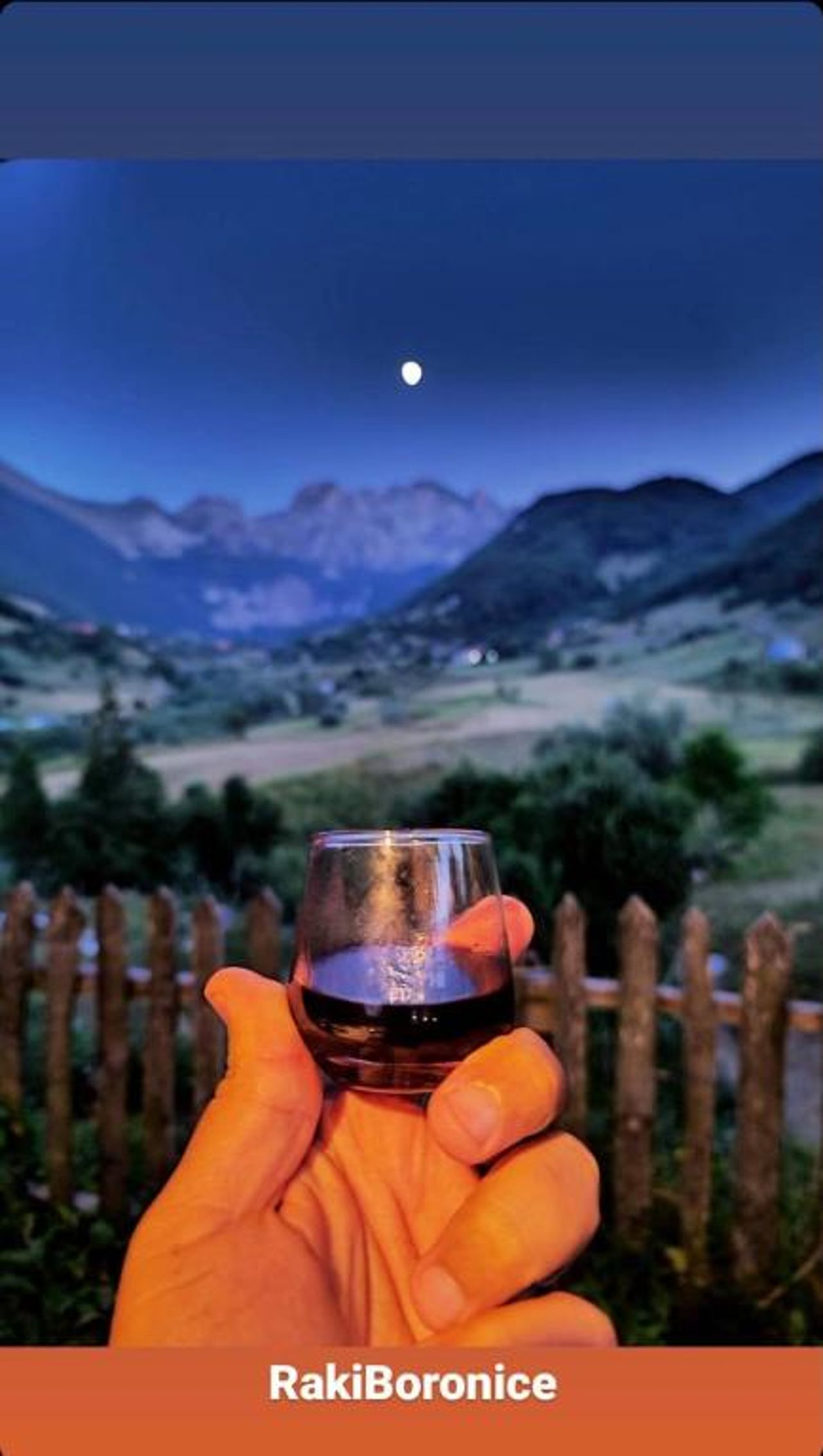Guesthouse Alpini