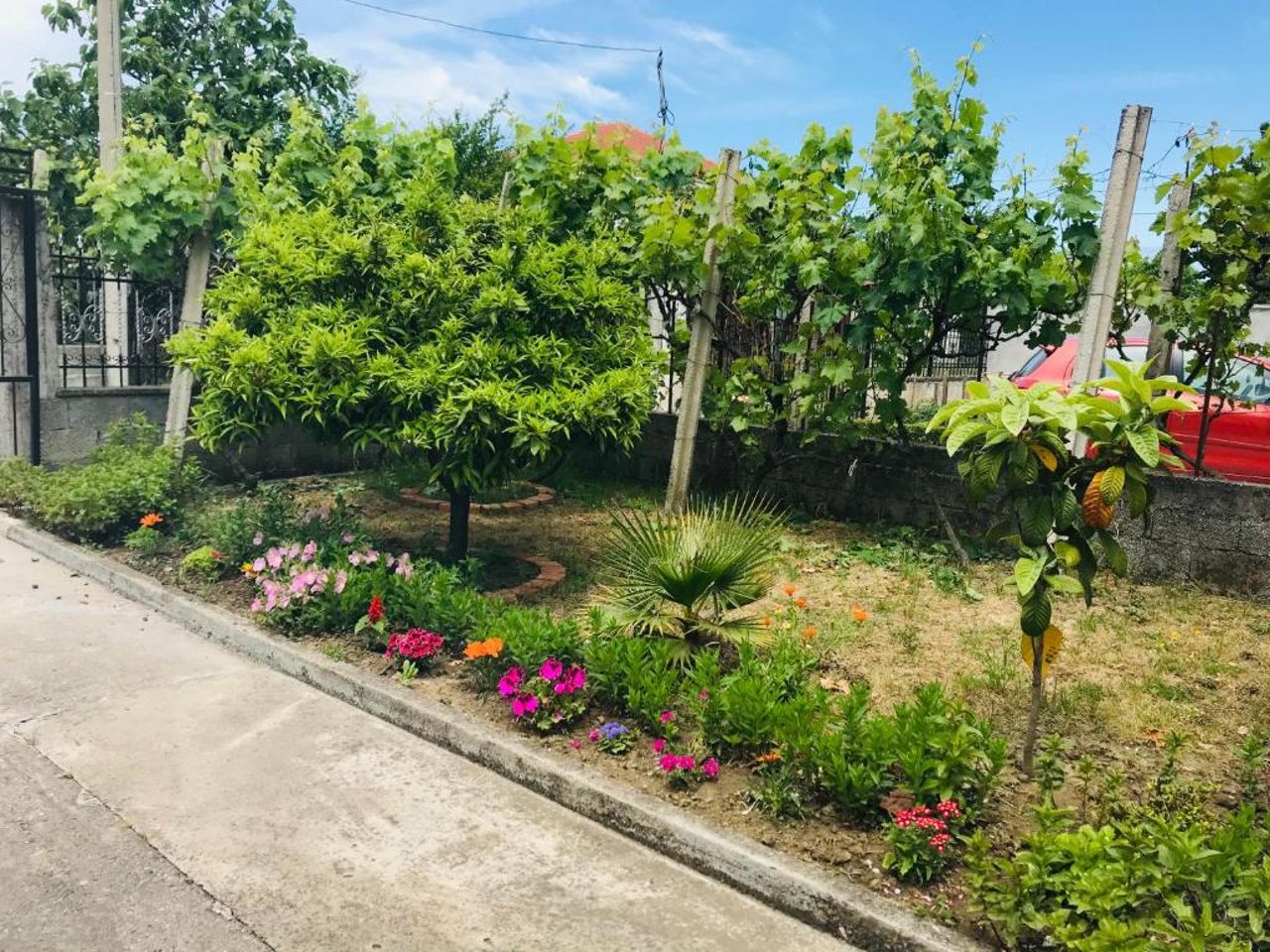 Baka Guest House