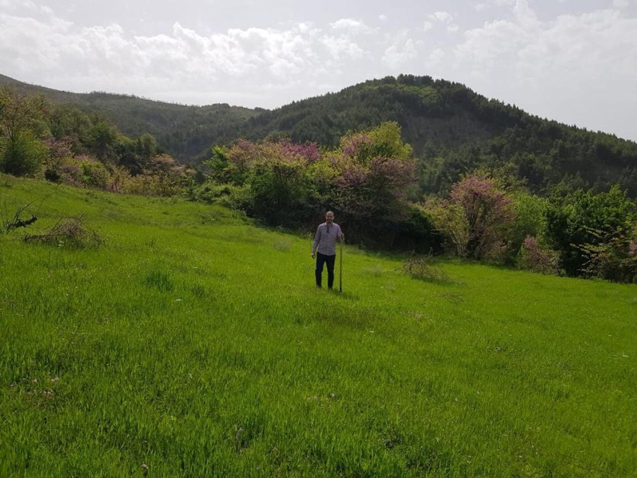 Vila Sofia - Guest House