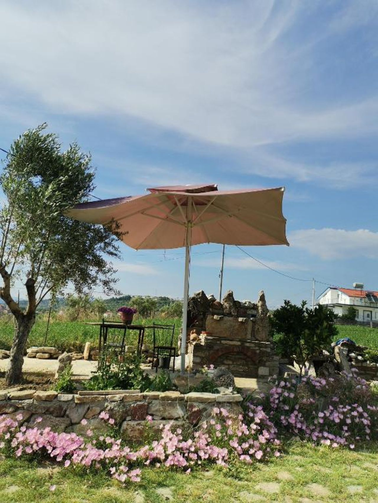 Hotel Bora