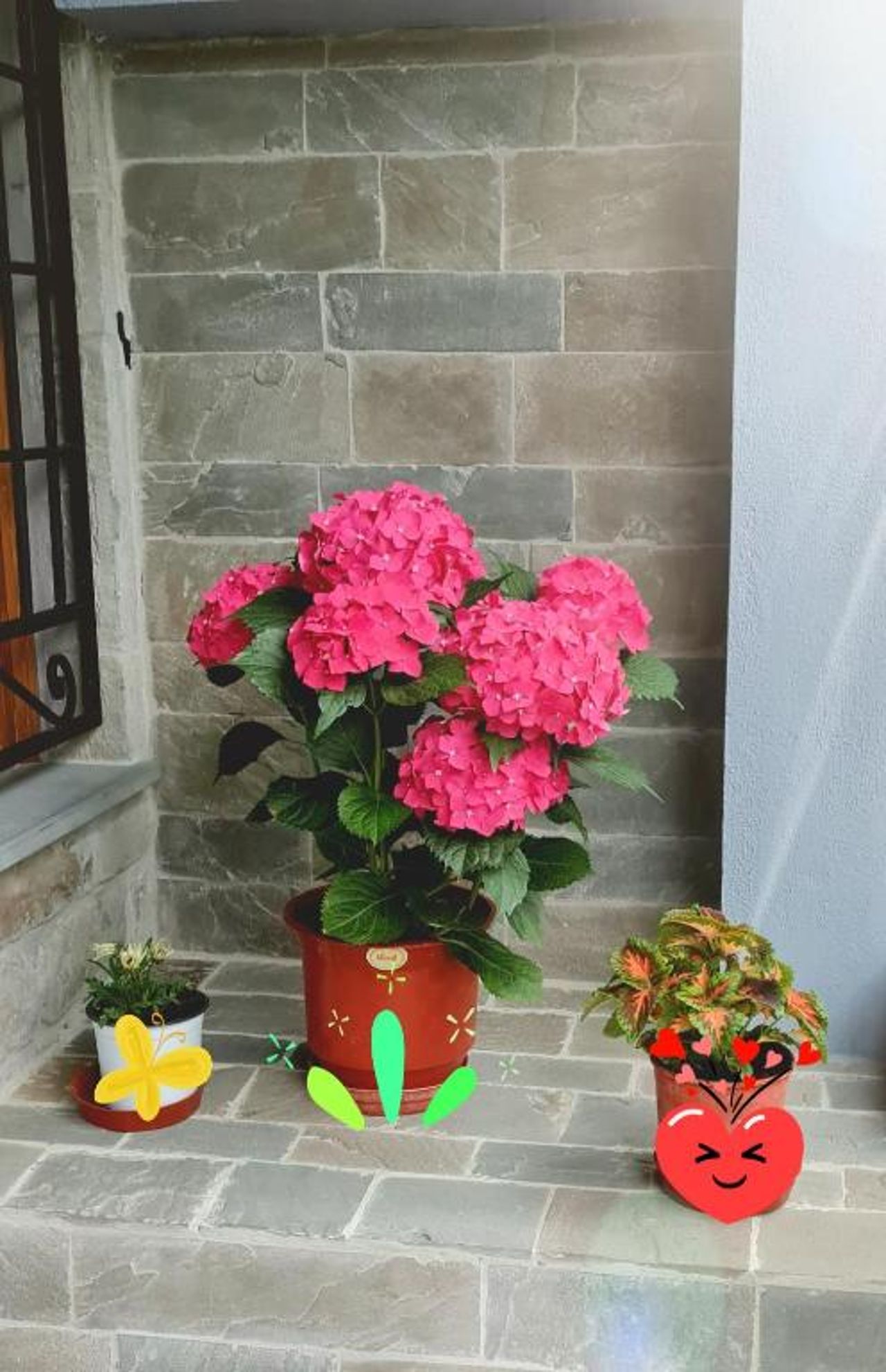 Garden Guest House