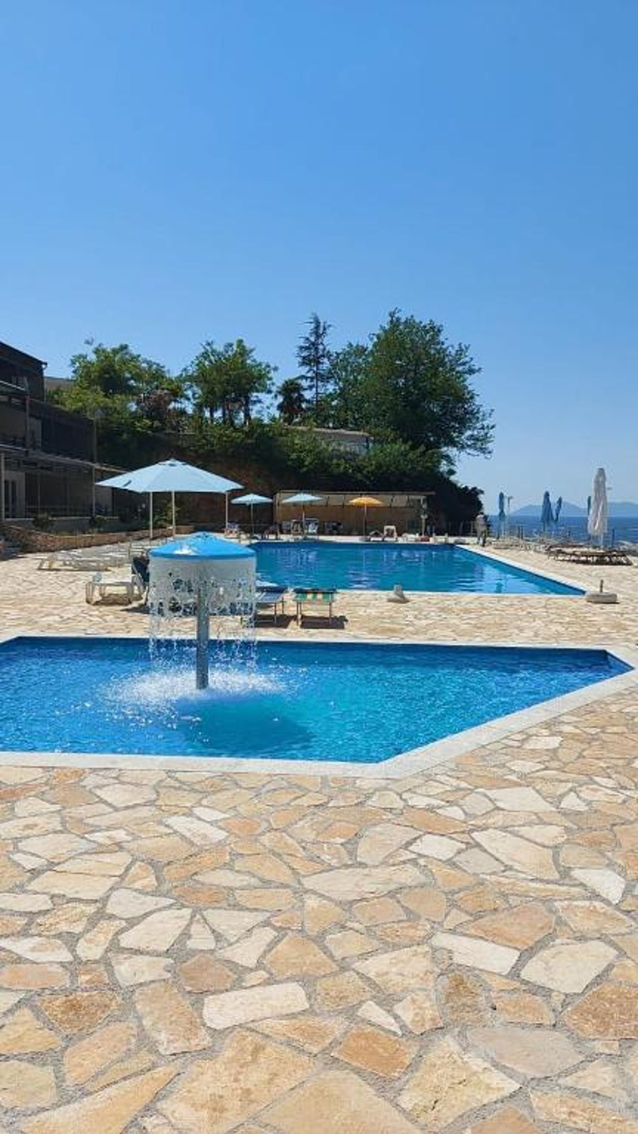 Aldi’s Guest House