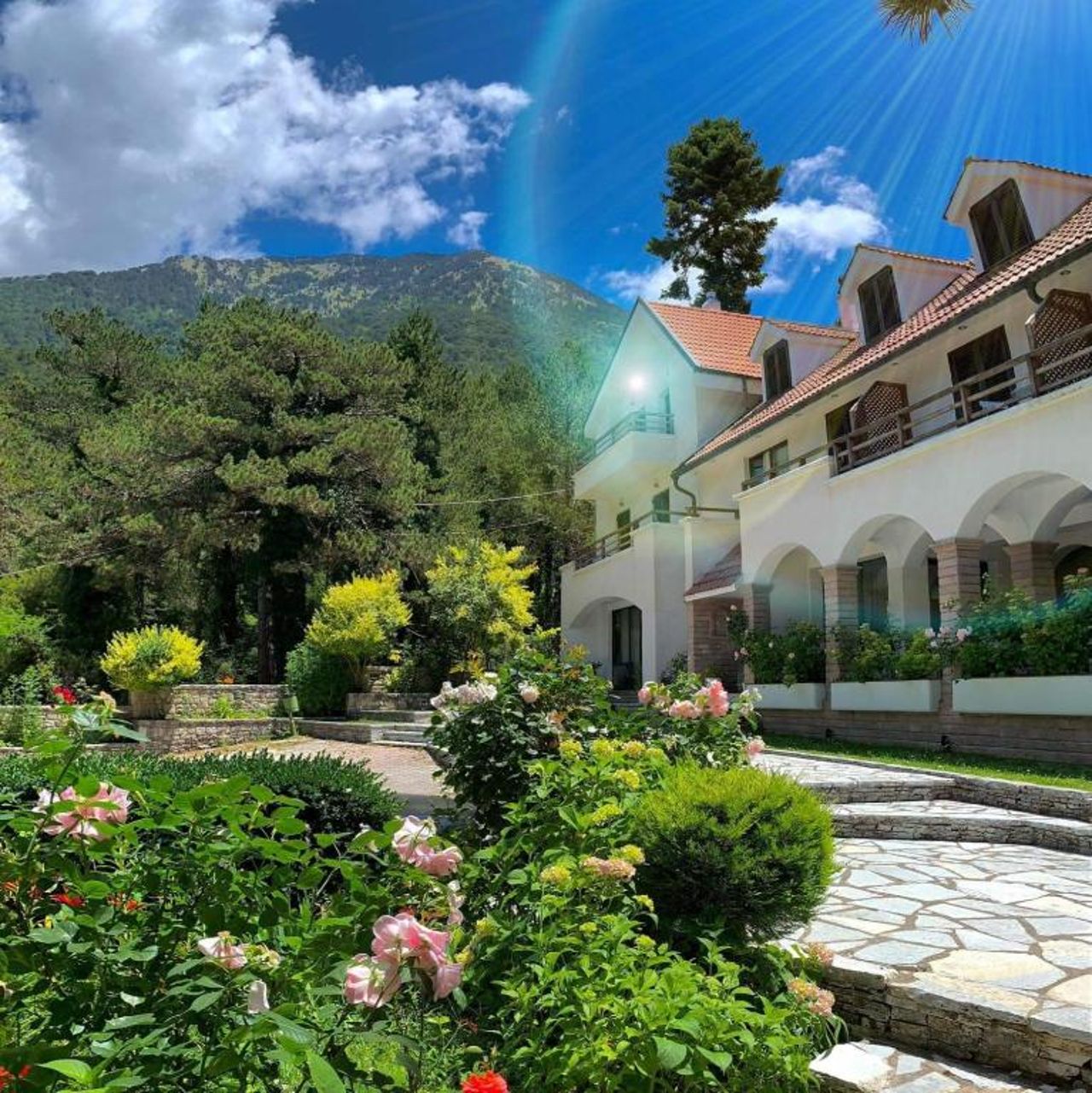 Hotel Alpin Llogara