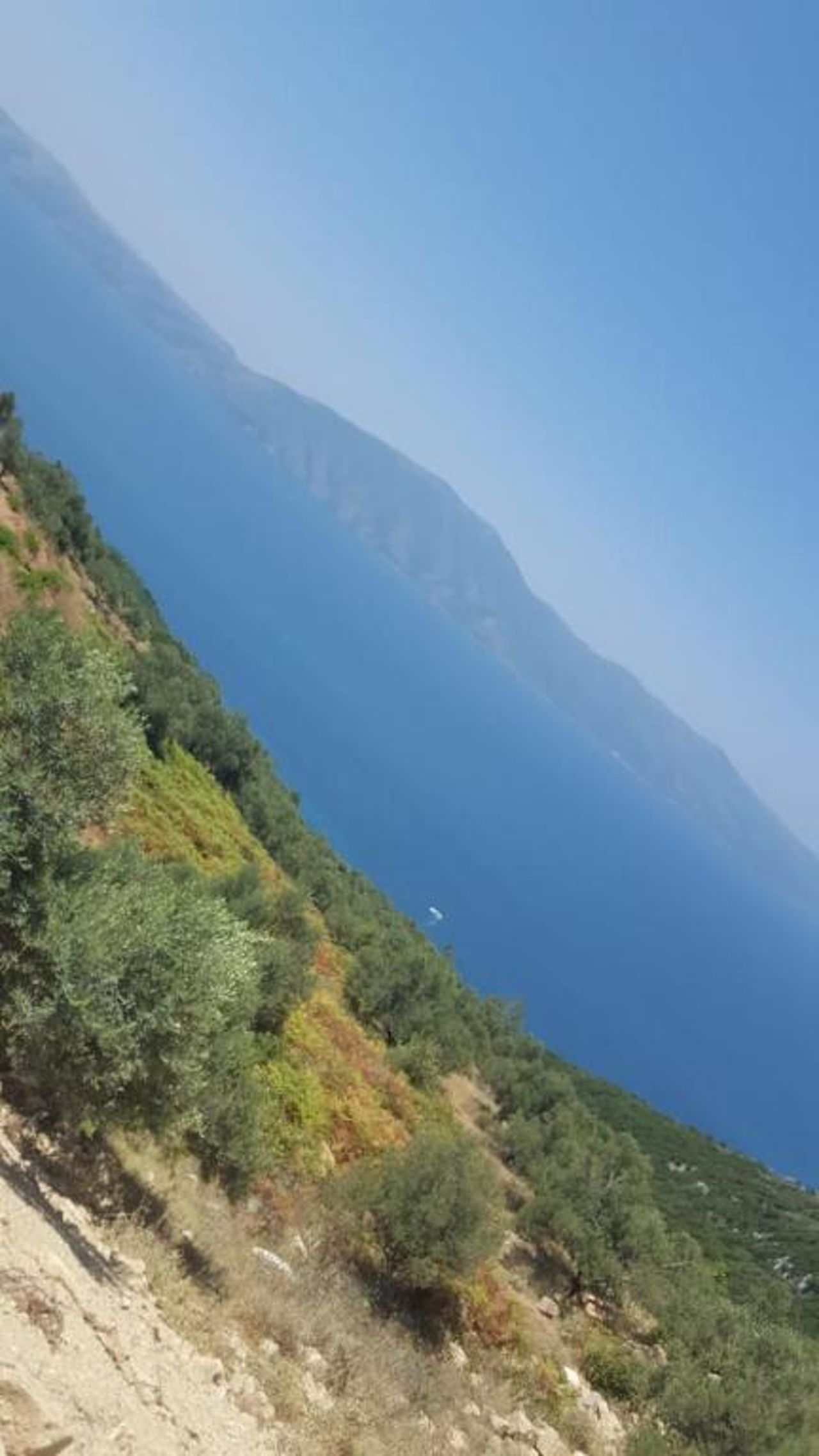 Villa Fredi