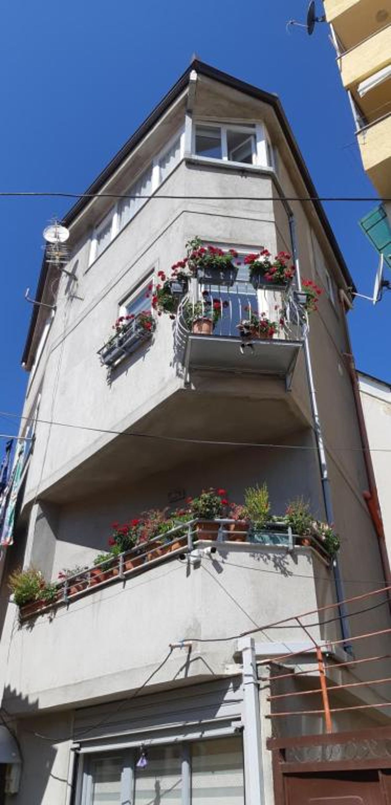 Vila Nikolla