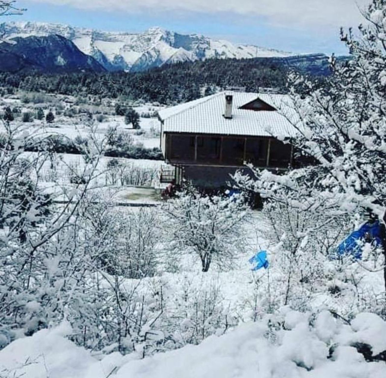 Bujtina Vila Dodo