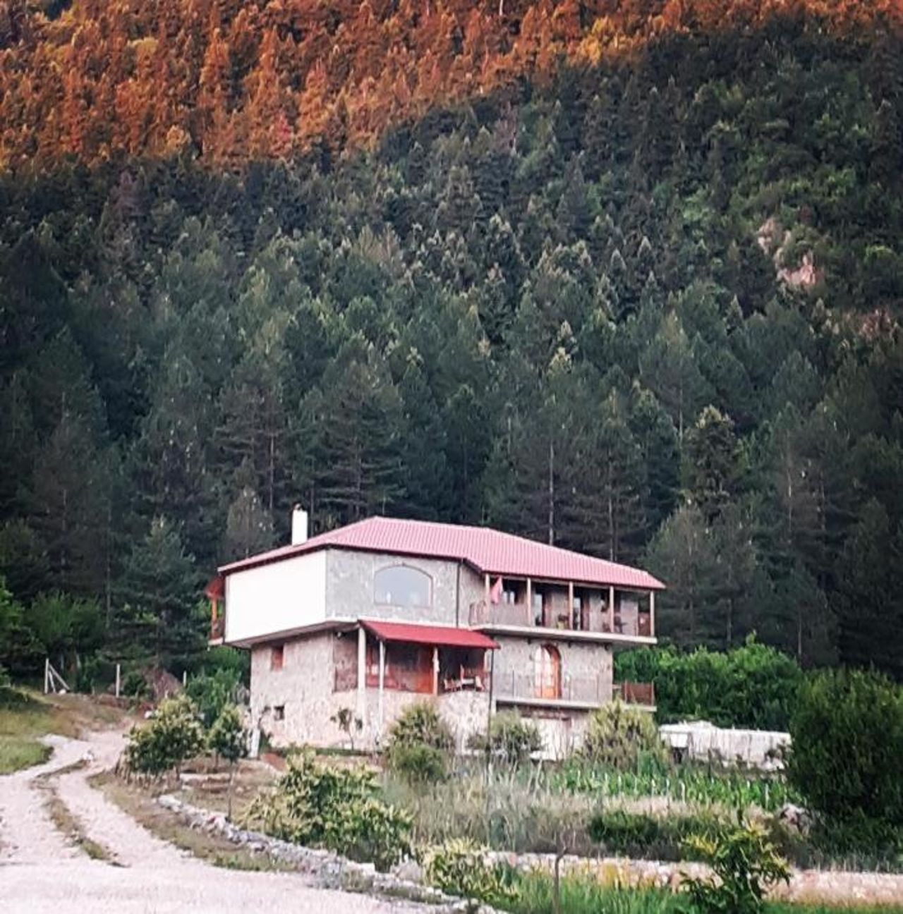 Bujtina Vila Dodo