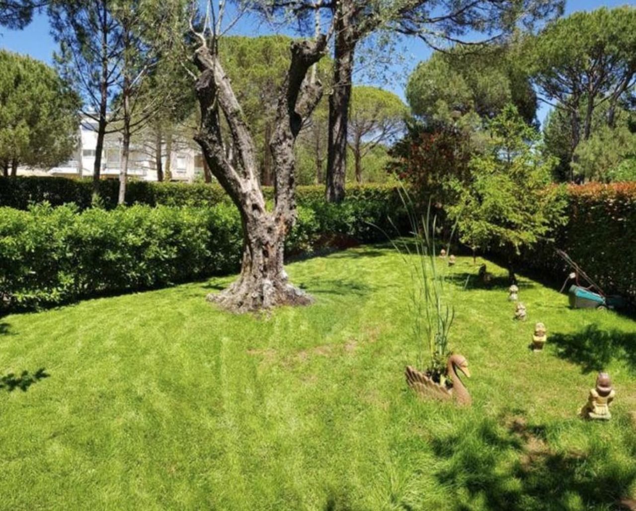 Villa Shera