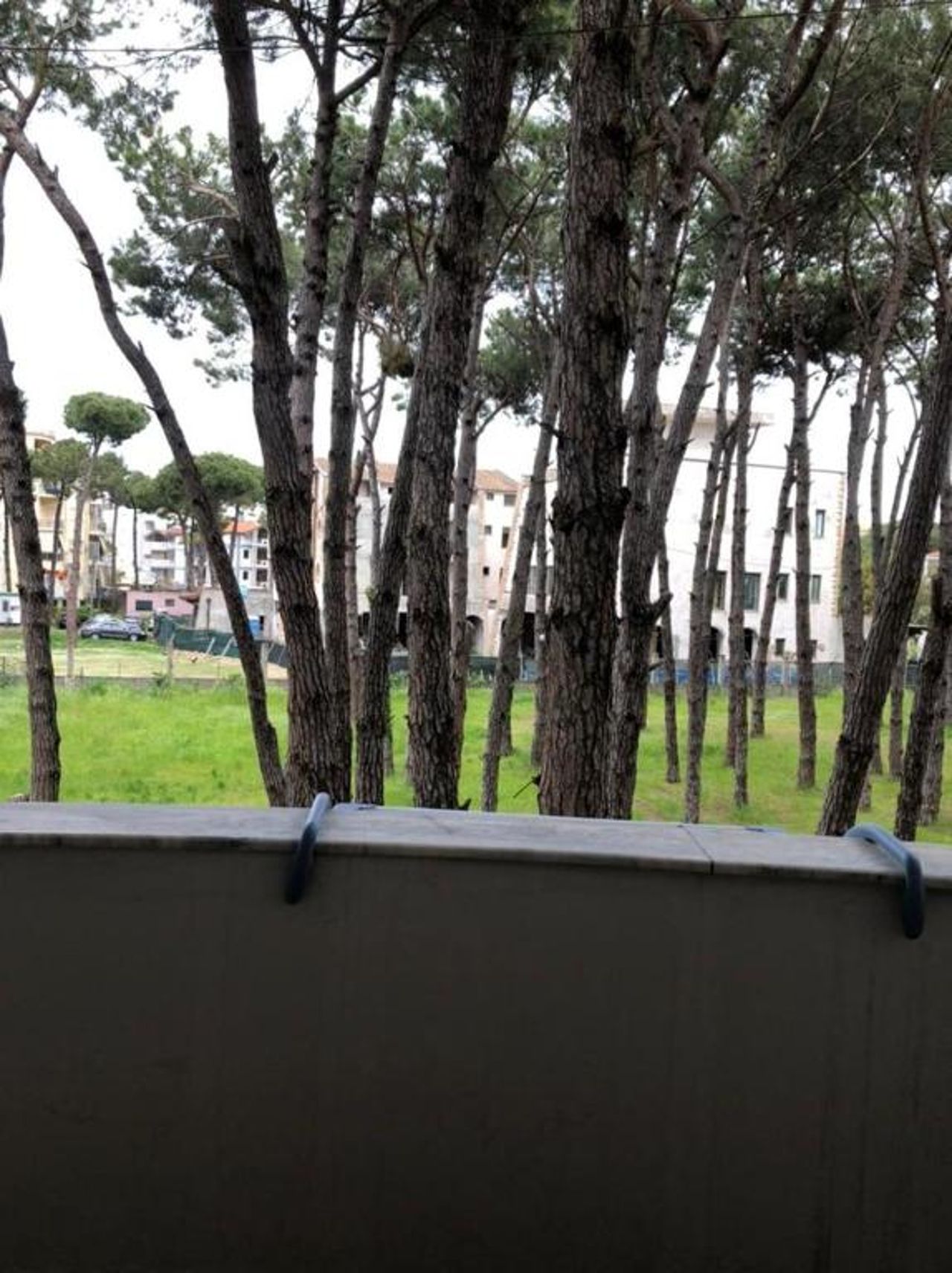 Apartament 8