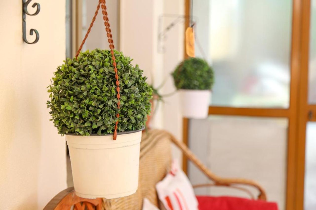 Garden of Happiness'' Apartment