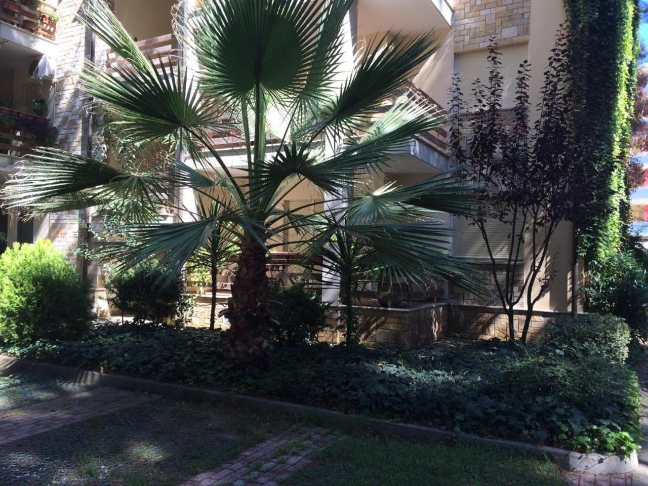 Apartment Eurocoli Rezidence
