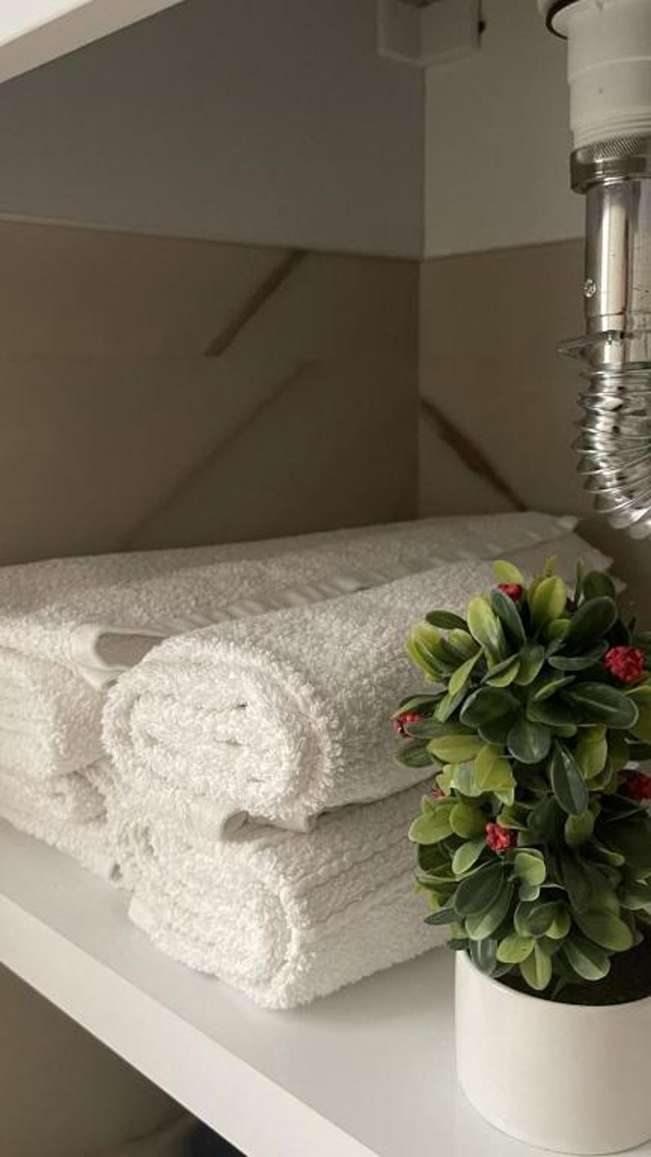 Hotel MS