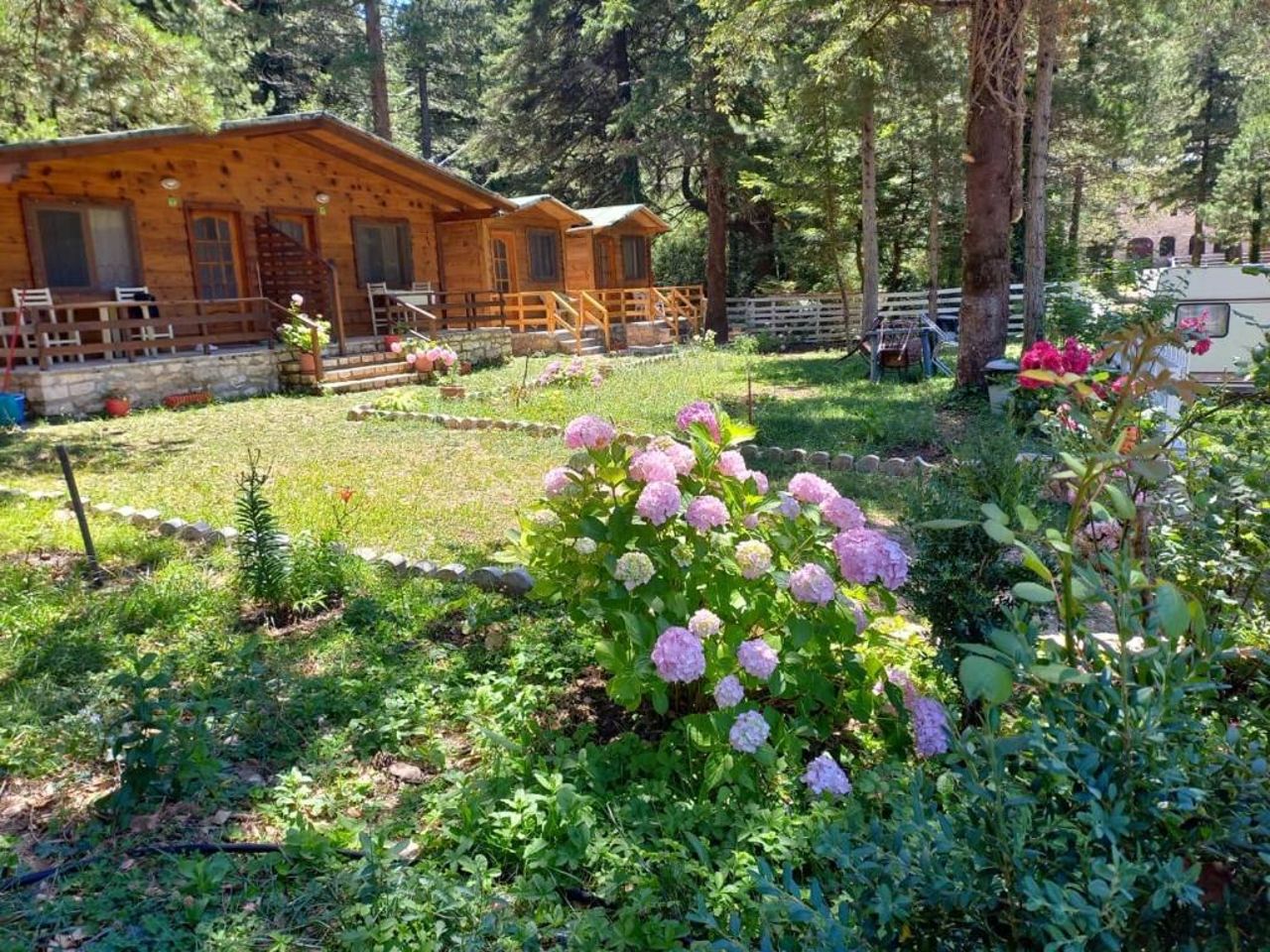 Bujtina Llogara, Log Cabins