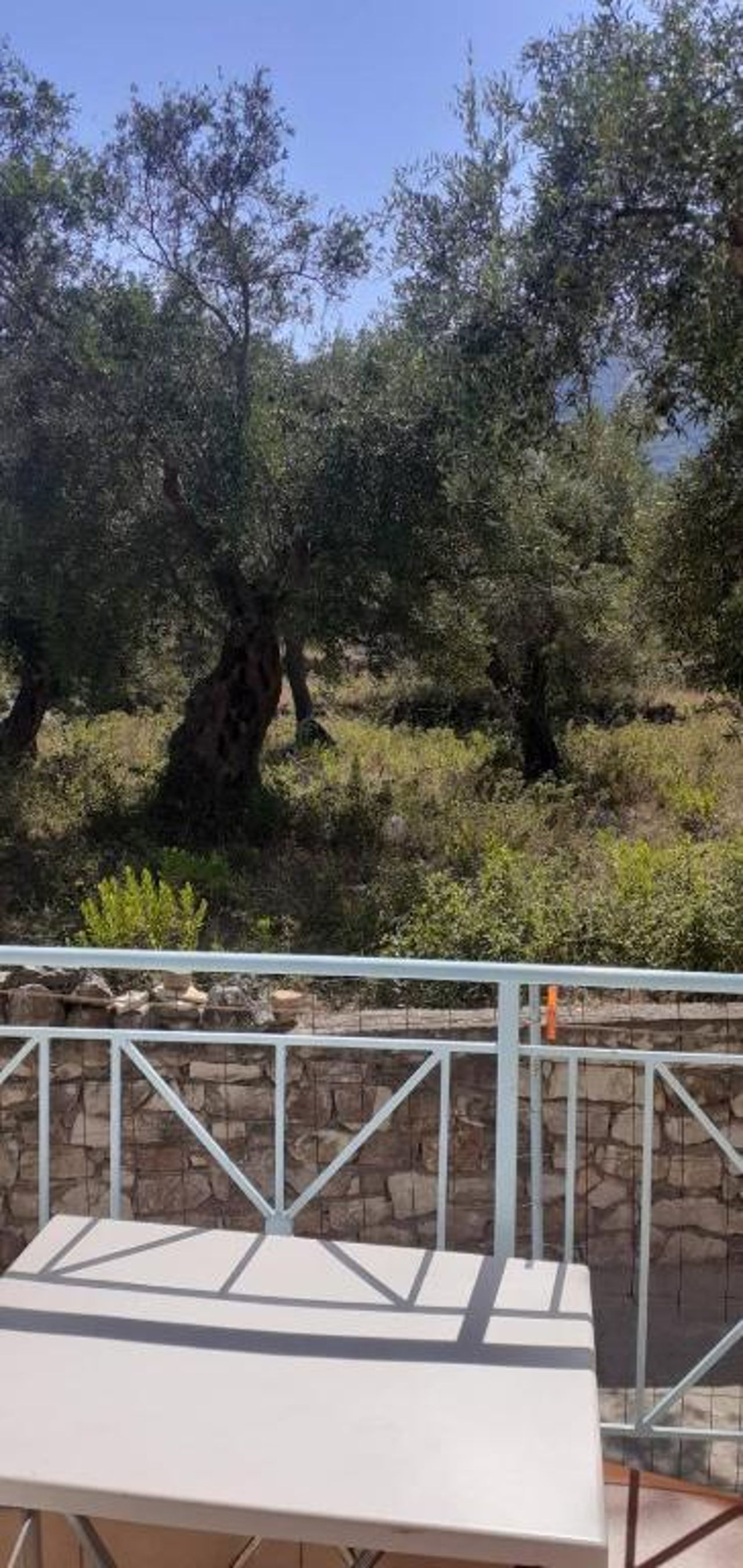 Villa Olivia Grove