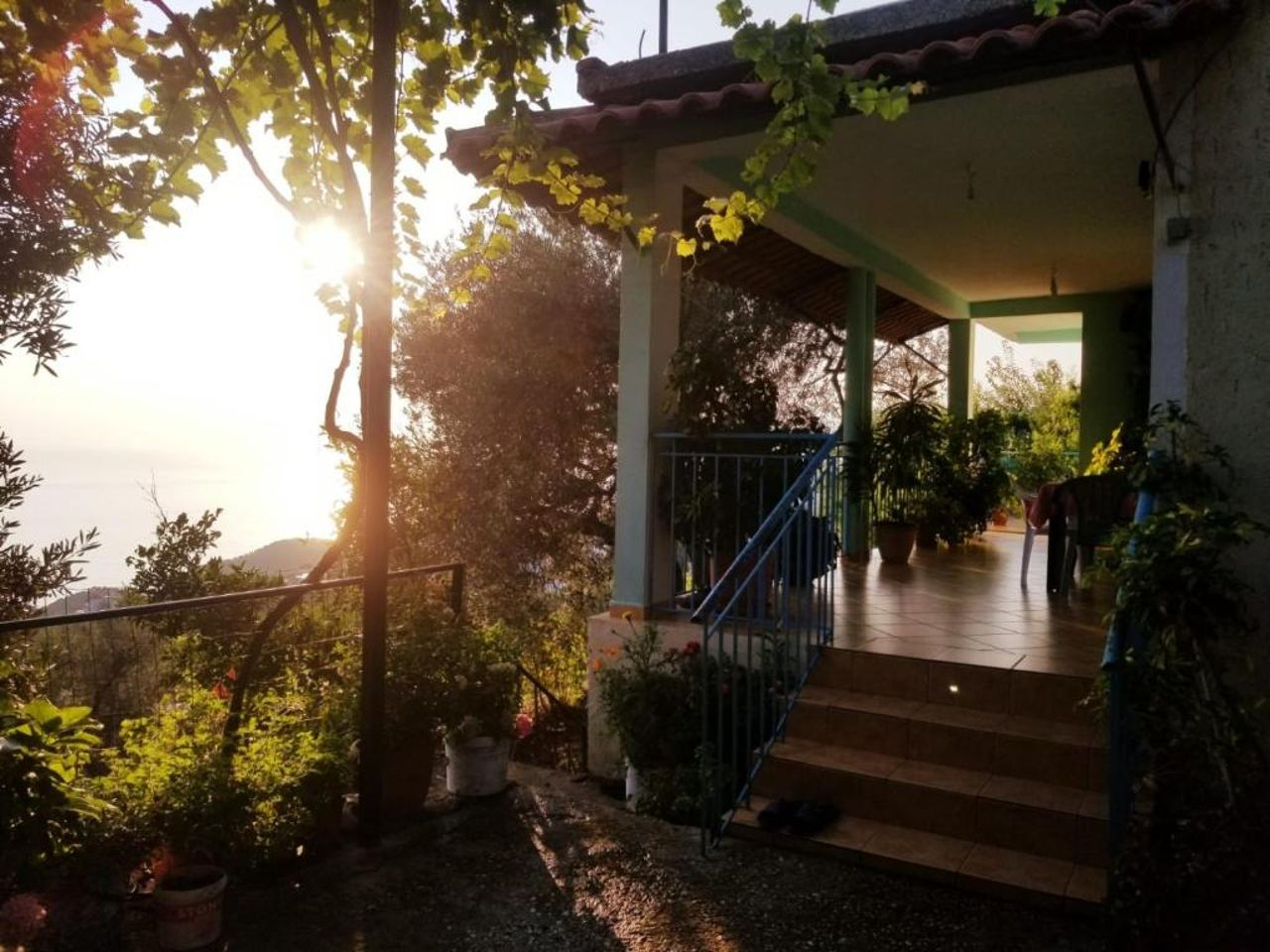 Eva's House