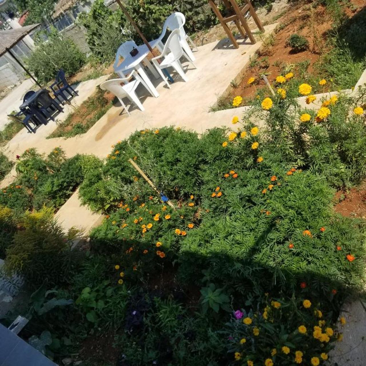 Rey Garden Villa