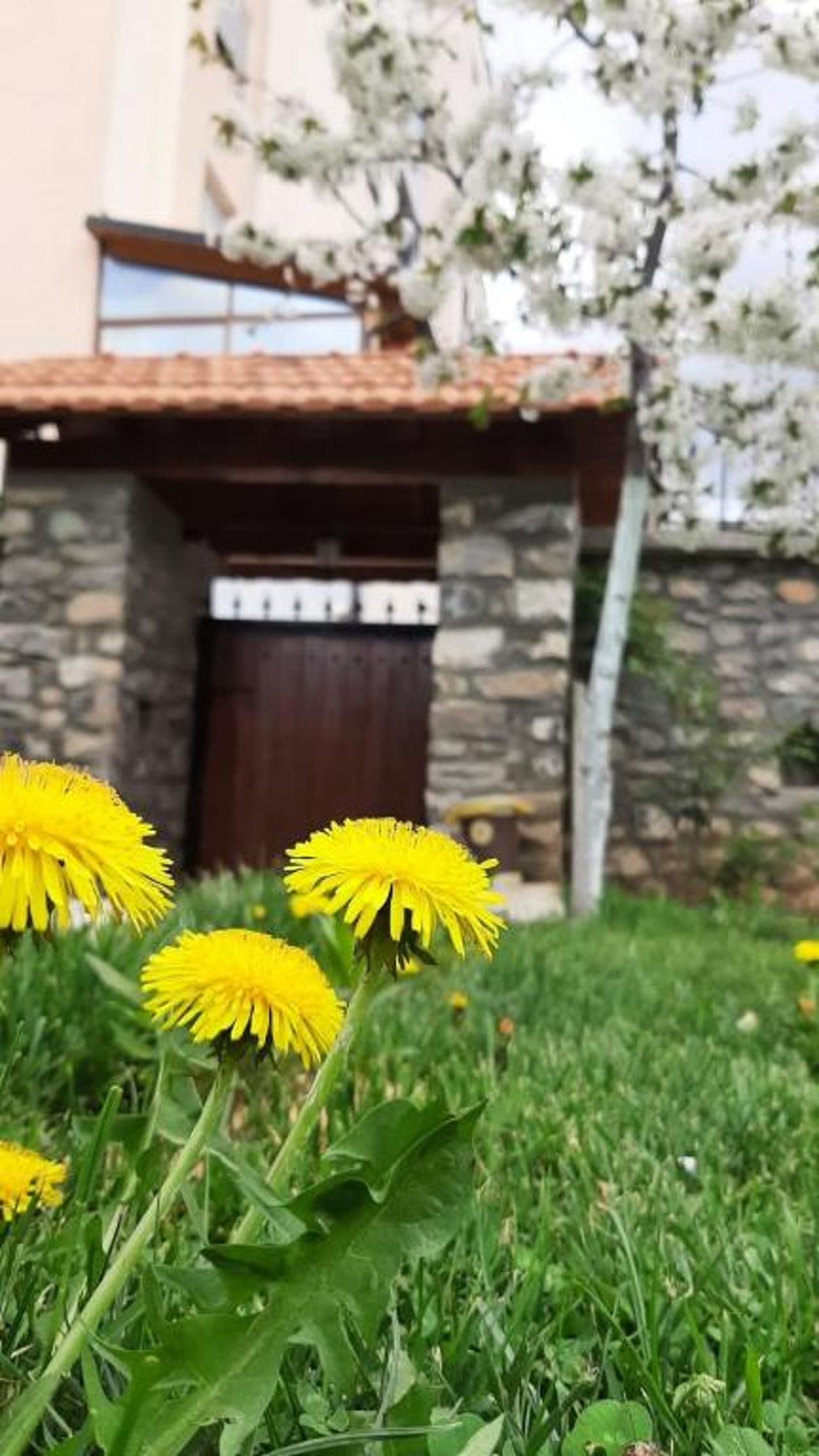 Guesthouse Tershana
