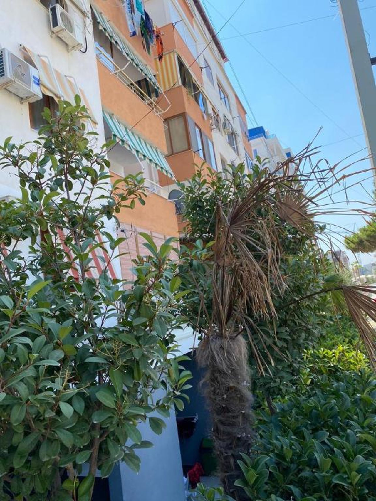 GardenView at the Sea Apartment