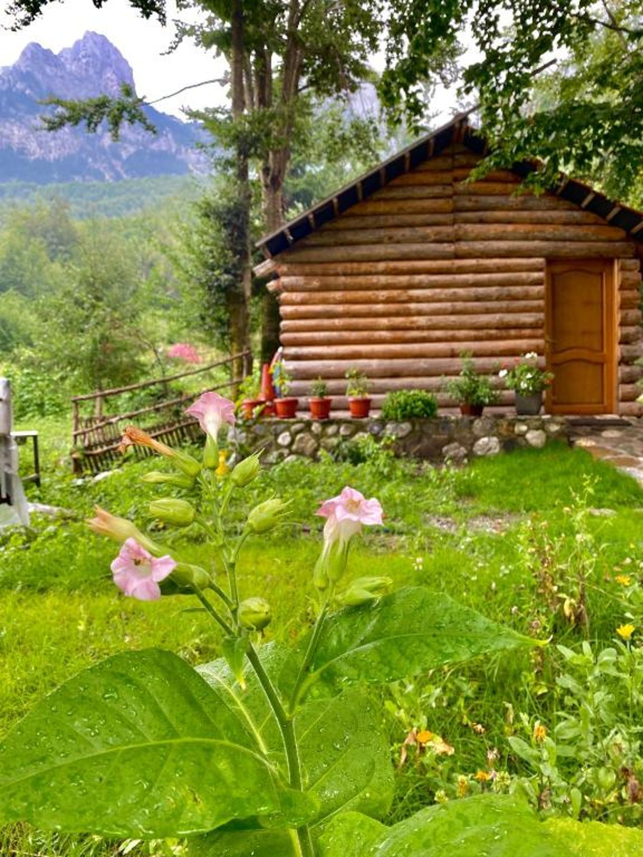 Guest house Hyrmet Demushi