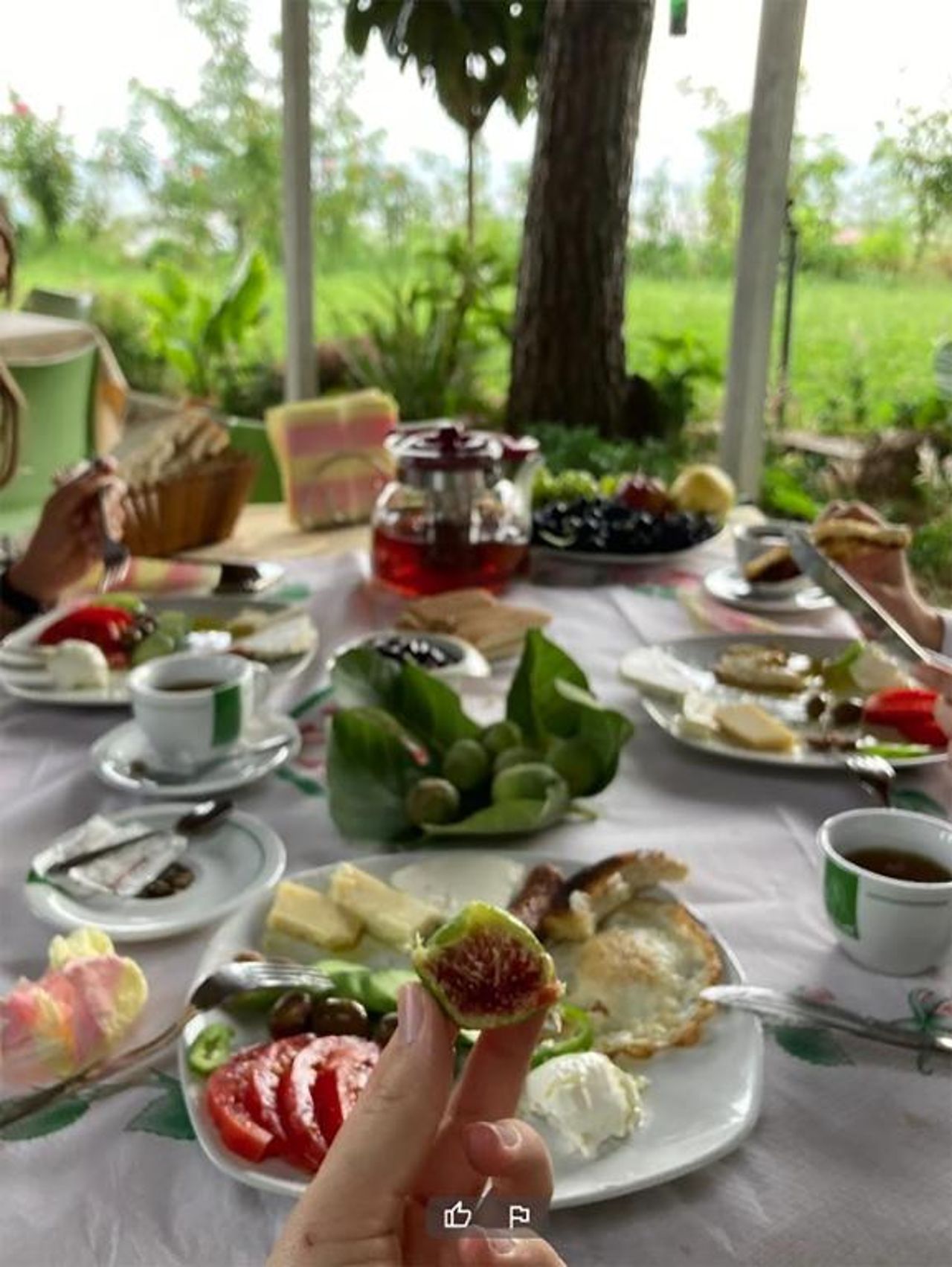 Hotel Nature
