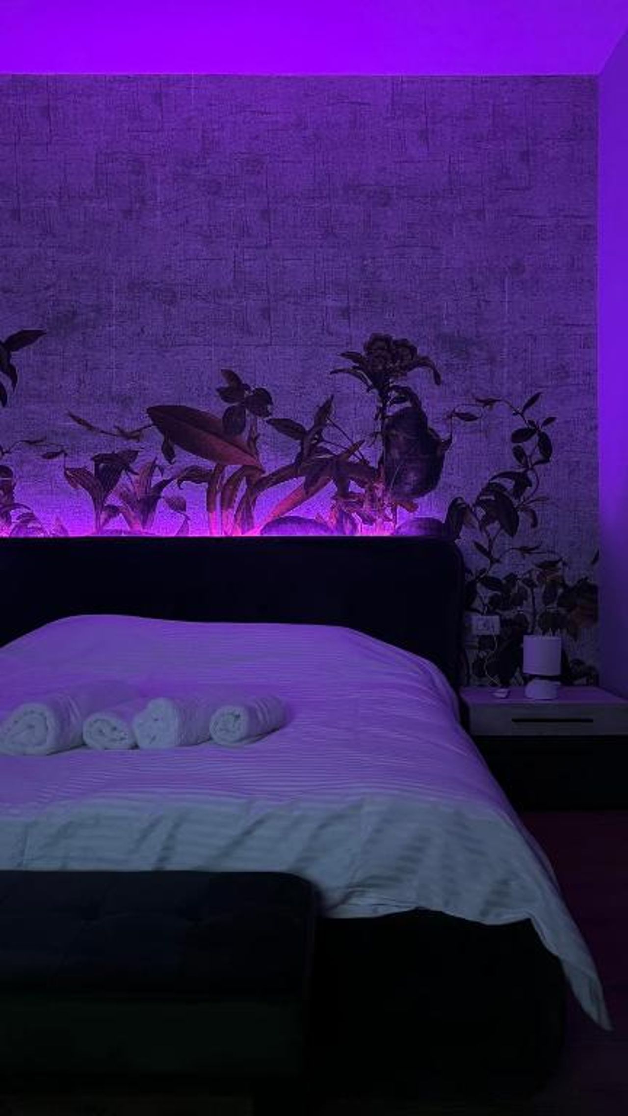 Comfy Modern Luxury - Central