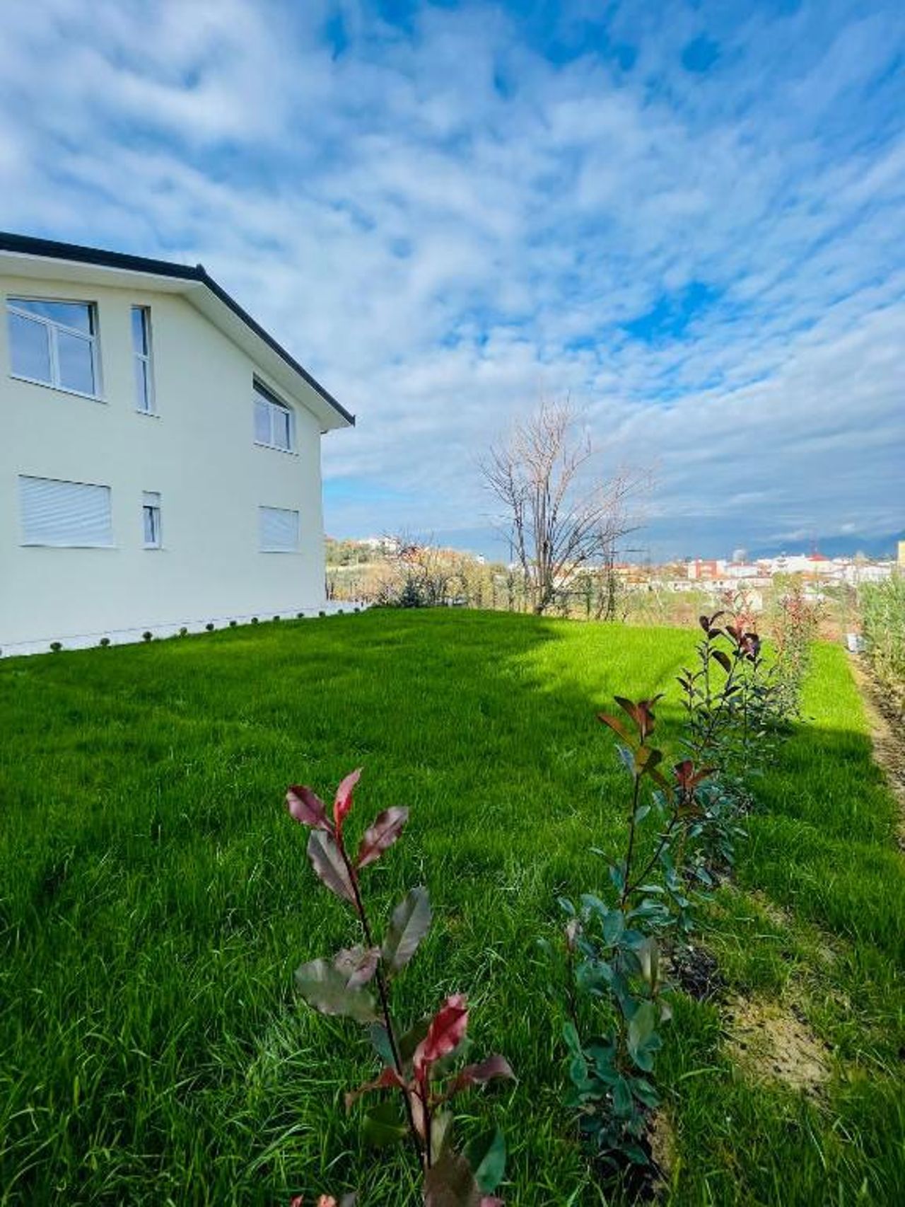 Villa 22
