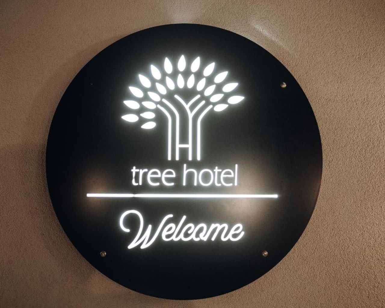 Tree Hotel