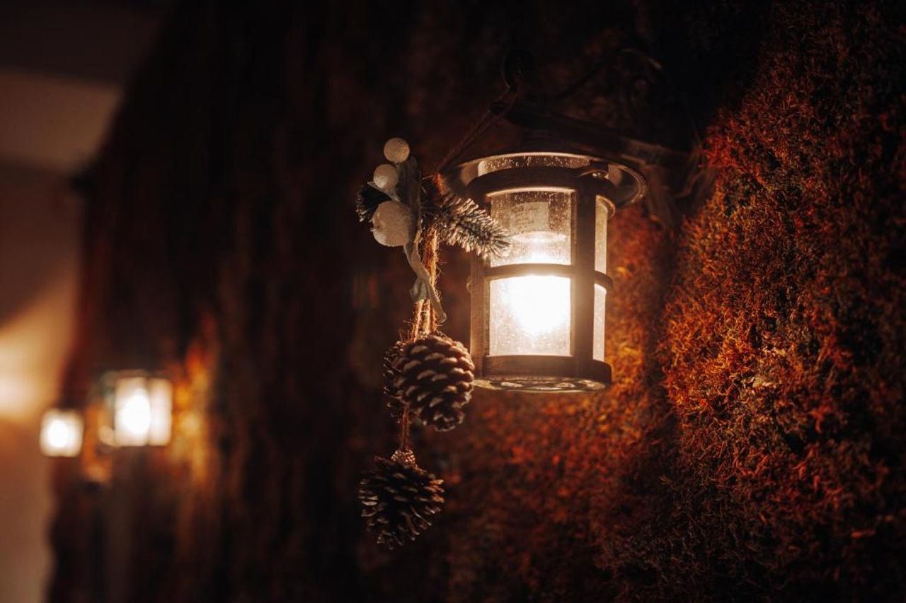 Tree Hotel
