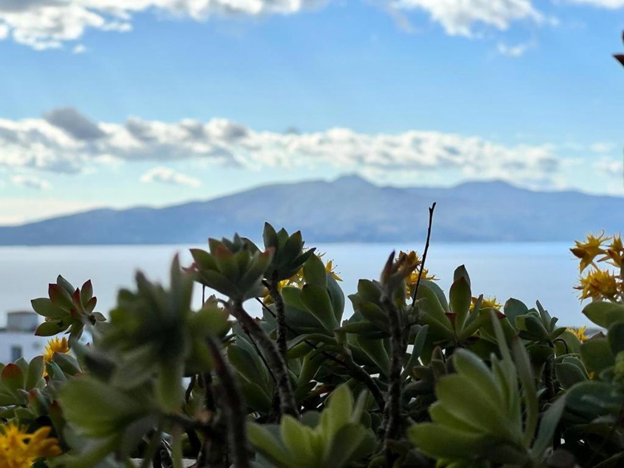 Flower Residence sea view