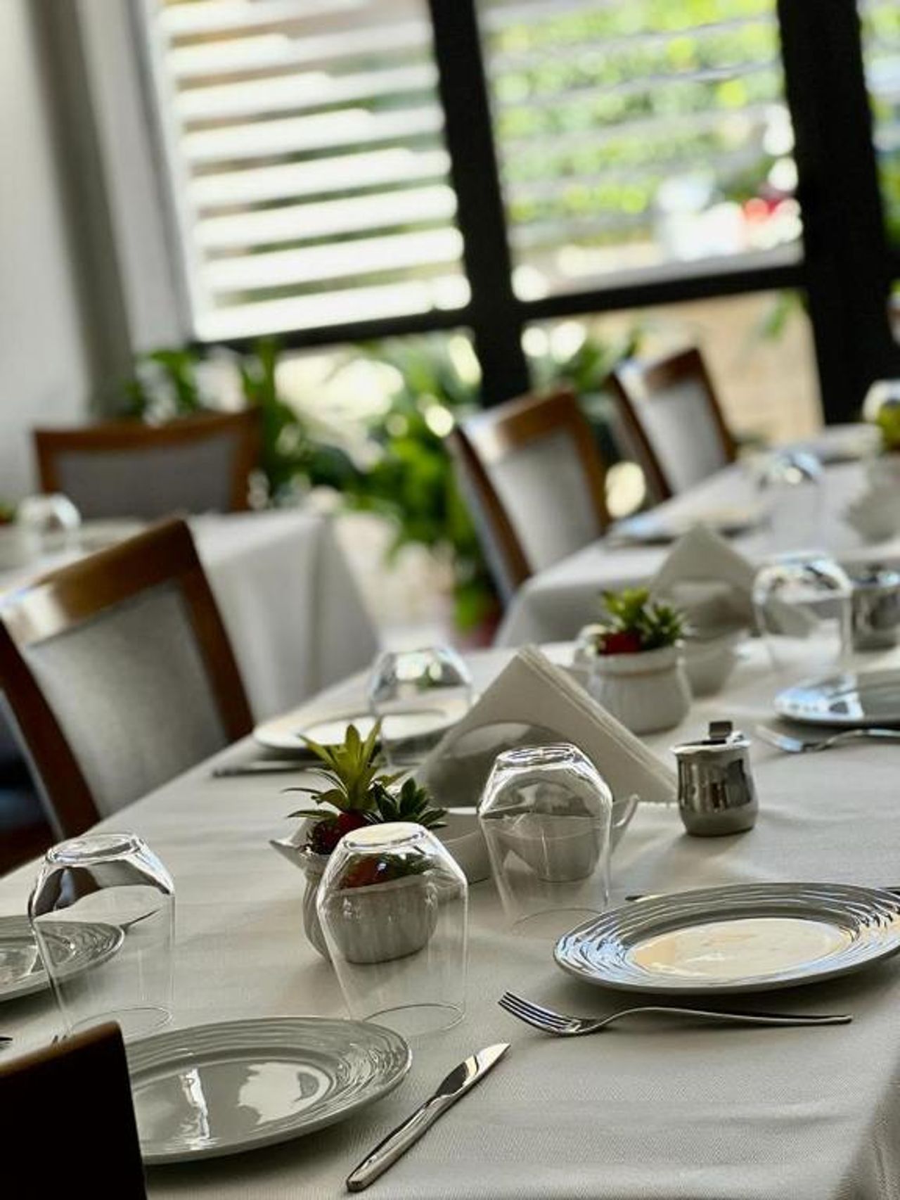 Hotel Mimani
