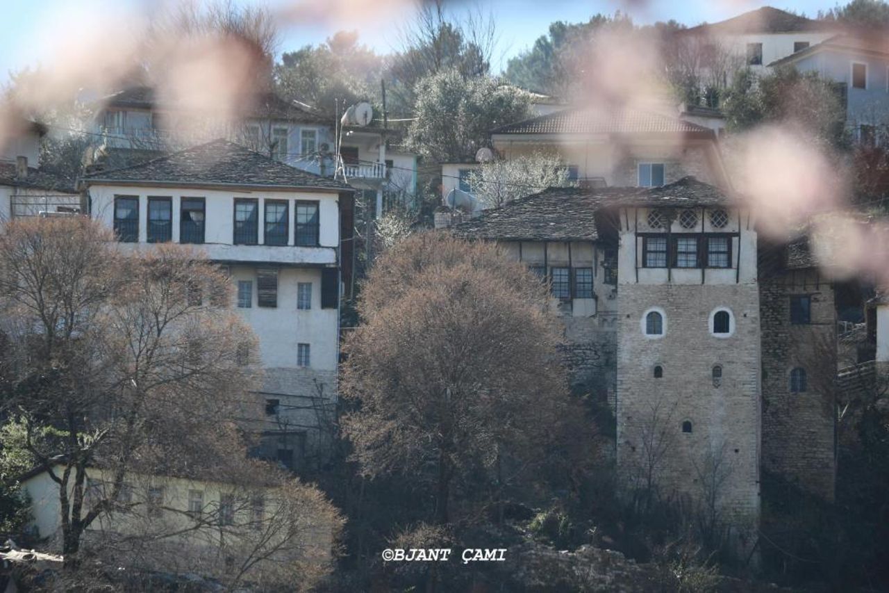 Braja House