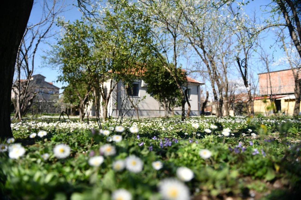 Nicolaus Hidden Gem Villa