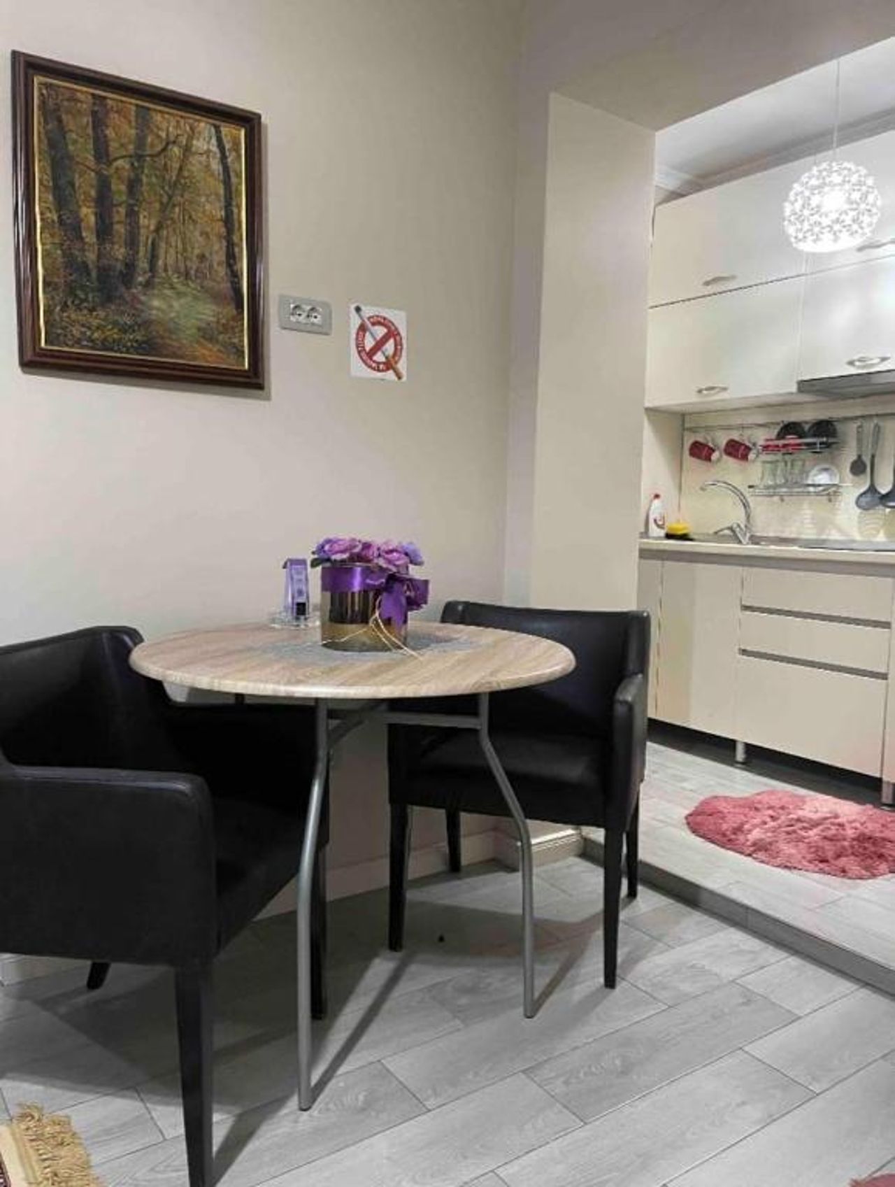 Warm apartment in the center of Tirana city