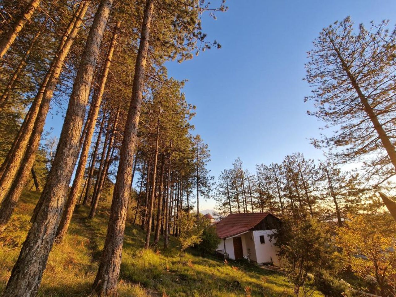 Bujtinat Skenderi Gjinar 1