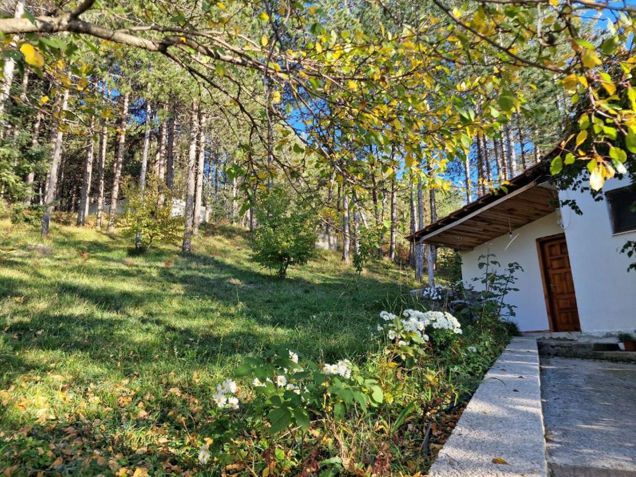 Bujtinat Skenderi Gjinar 1