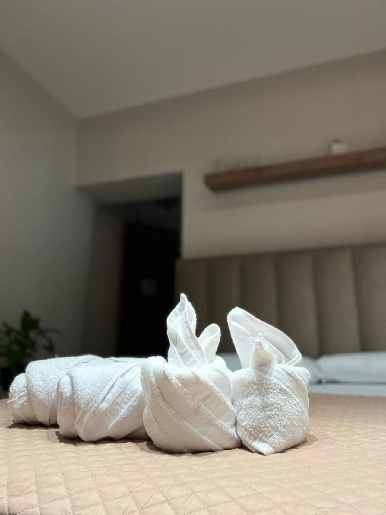 4SeasonsGea , Deluxe Studio , City Centre , Tirana