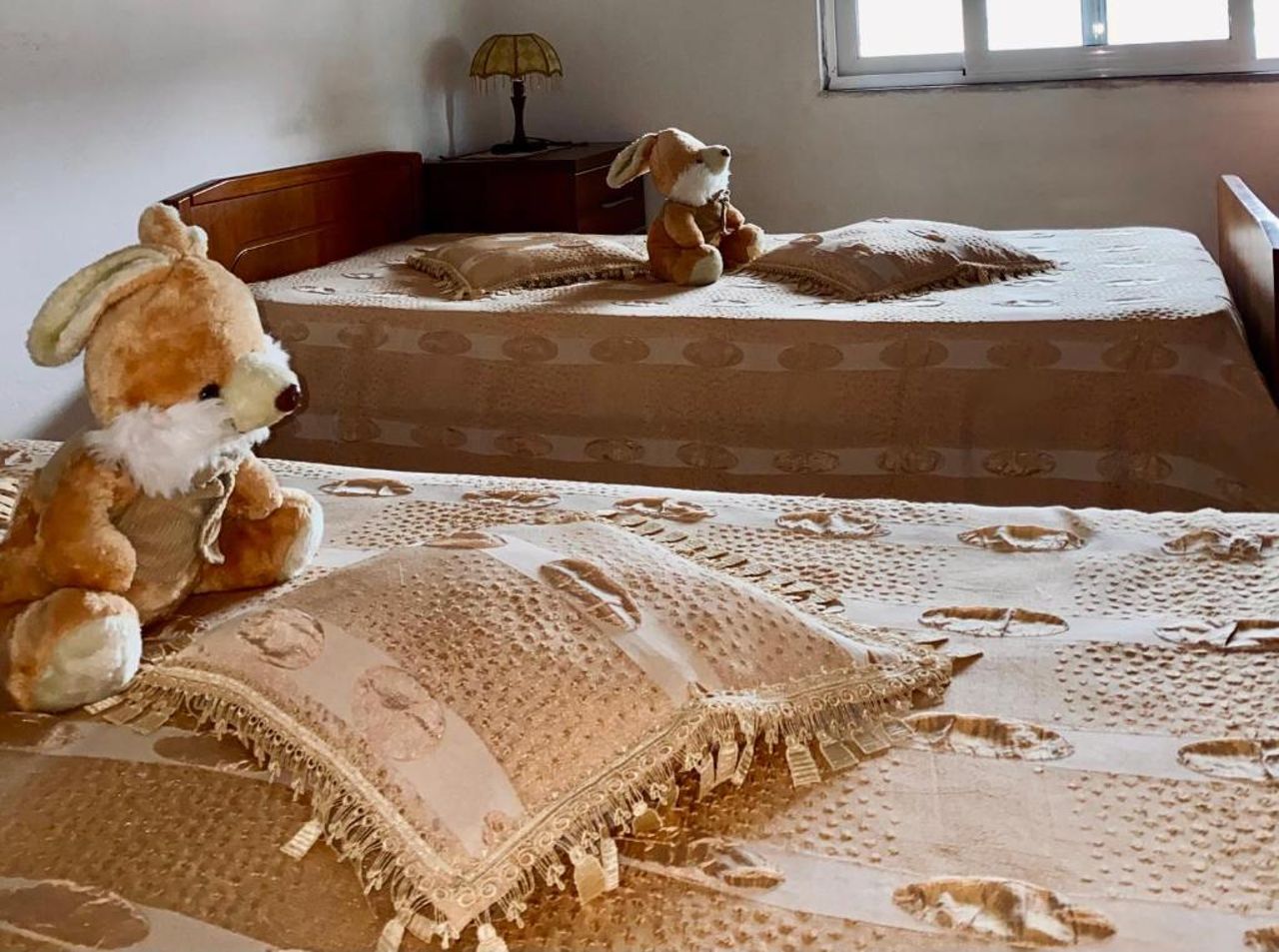 Charming Berat flat getaway