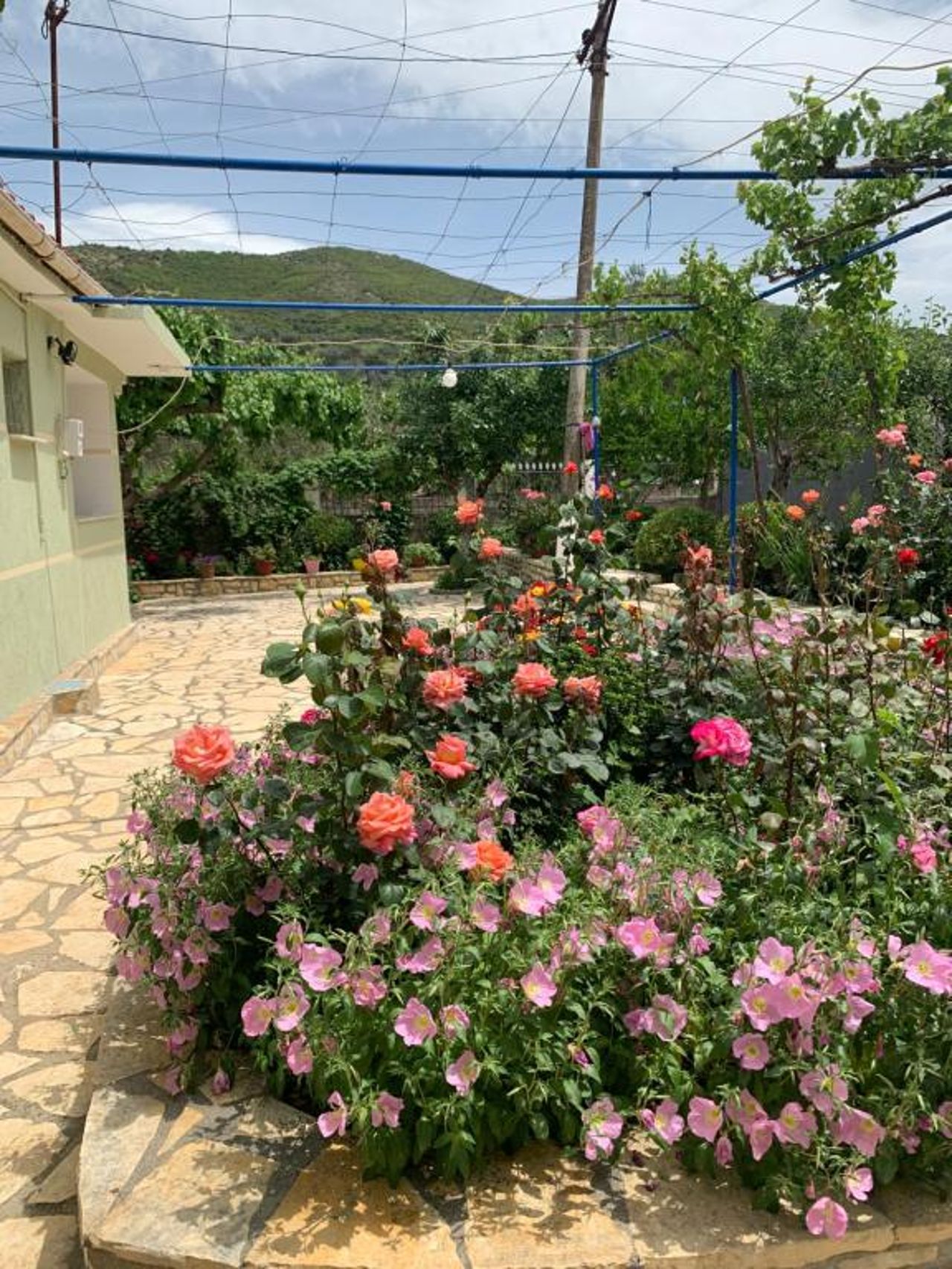 Vjosa Guest House