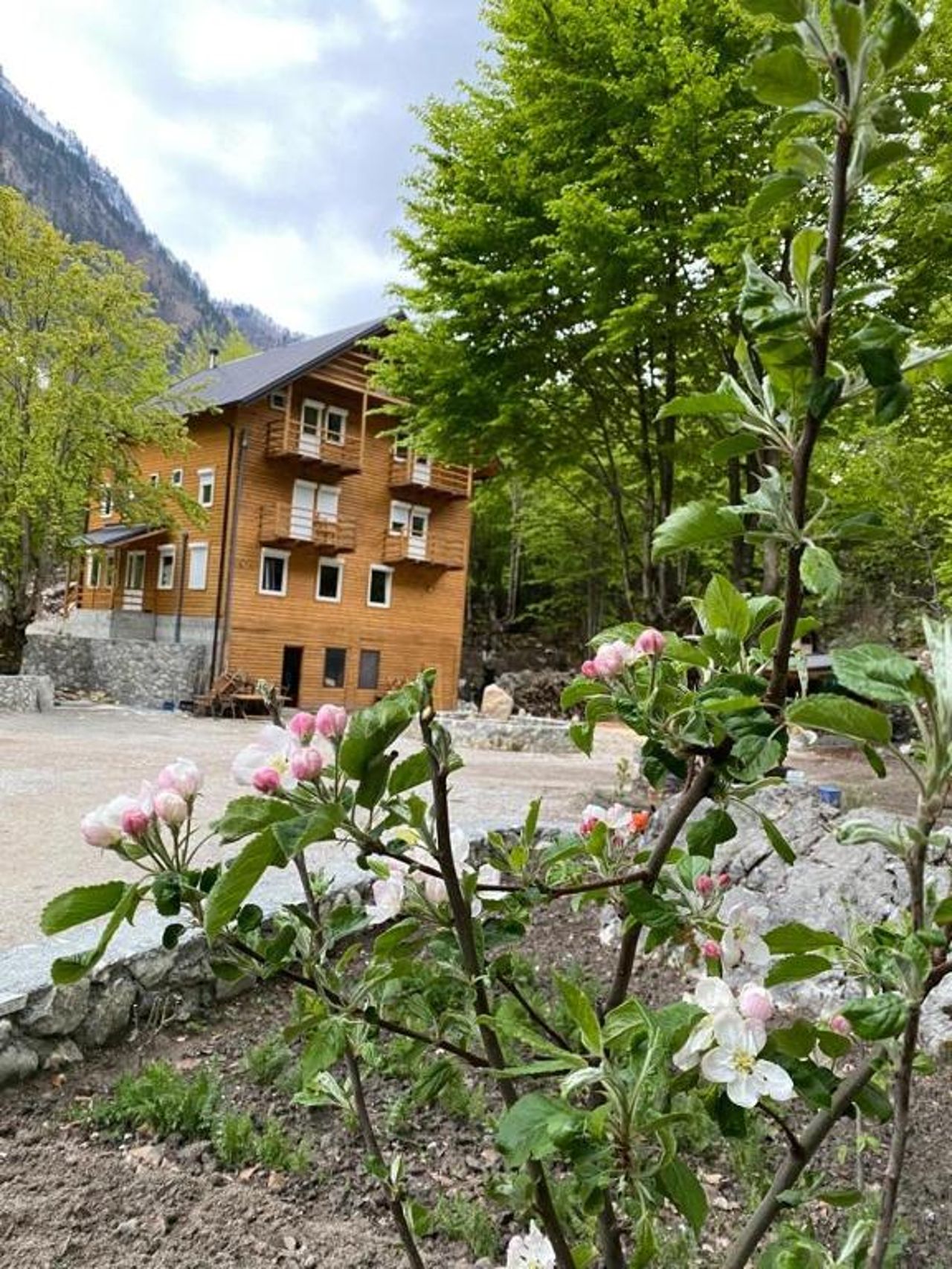 Adenisi guesthouse
