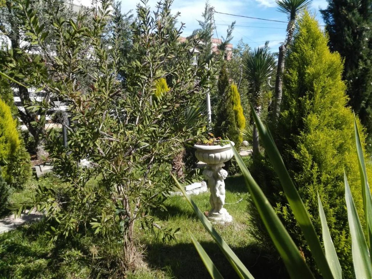 Arti Vila 2