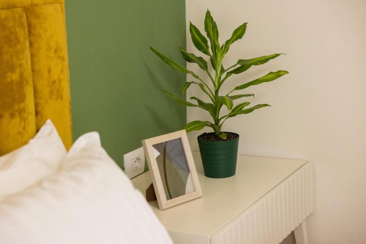 Three doors apartments, Papaya 1-bedroom apartment